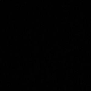 Meet your Posher, Qyara